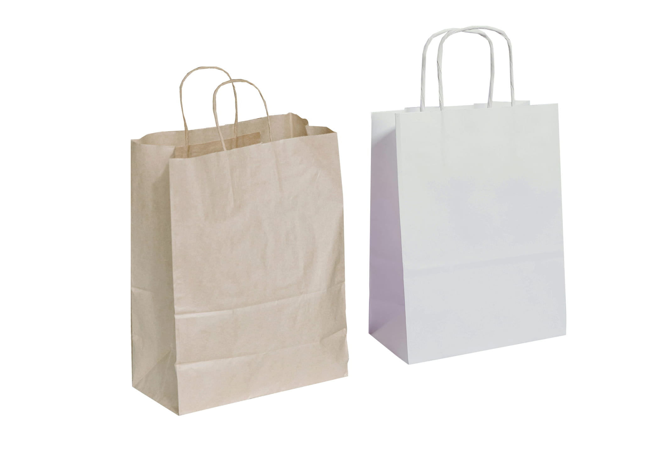 Twisted Handle Bag